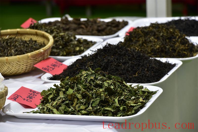 The Great Revelation of White Tea - Debunking Myths and Appreciating Its Beauty-3