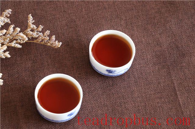 Is Drinking Tea Good for Your Health?-3