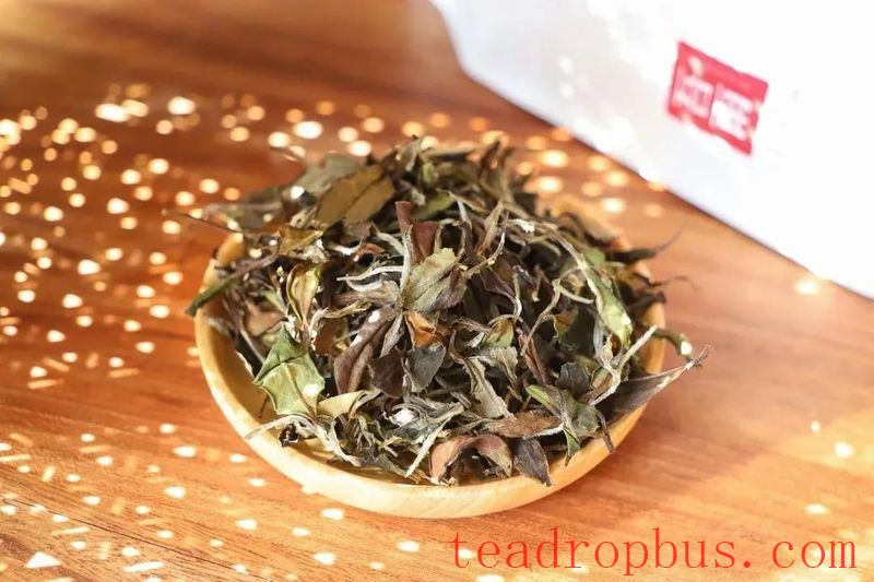 New White Tea vs. Aged White Tea: A Beginner's Journey of Choice-1