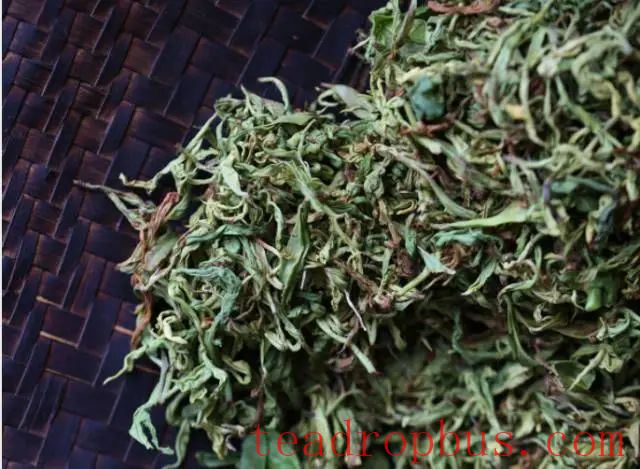 Black Tea Kneading Technique: How to Shape the Appearance and Enhance the Quality? Ultimate Decryption!-4