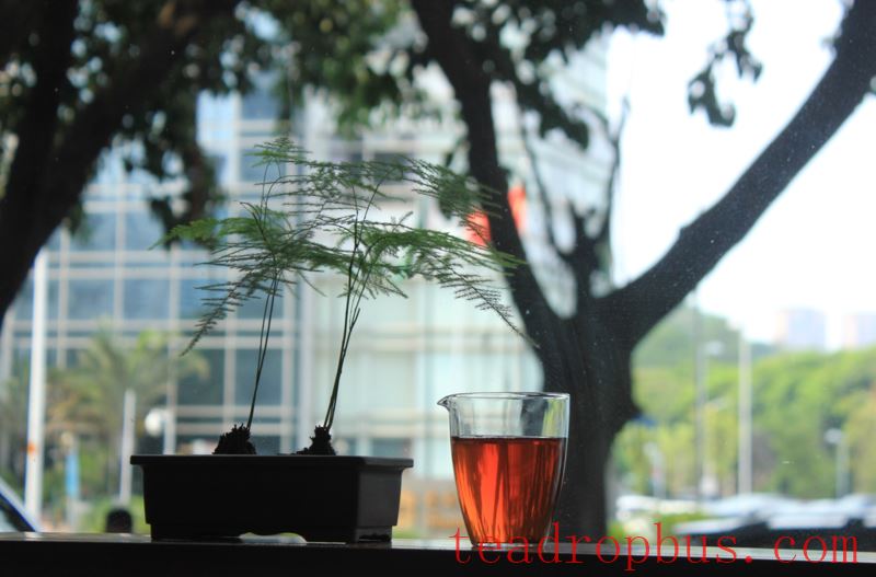 Be Cautious! Hearing These Phrases When Buying Tea Might Lead You into Traps!-4