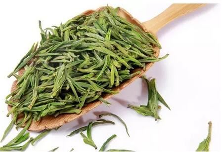 What are the differences between White Tea and Yellow Tea?-8-ChinaTeaGuru: Exploring Chinese Tea Culture and Kung Fu Tea - Tea Art, Tea Ceremony, Tea Knowledge What are the differences between White Tea and Yellow Tea?-8