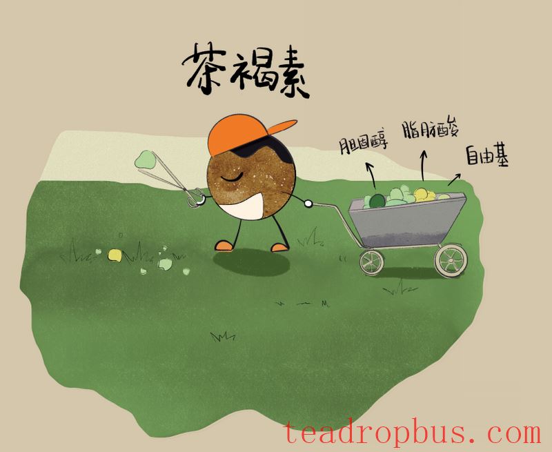 What are the Benefits of Tea Brown Pigment in Shou Pu'er?-1