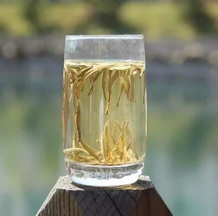 These People Can Benefit from Drinking More White Tea, Diseases Will Not Bother You Anymore-5