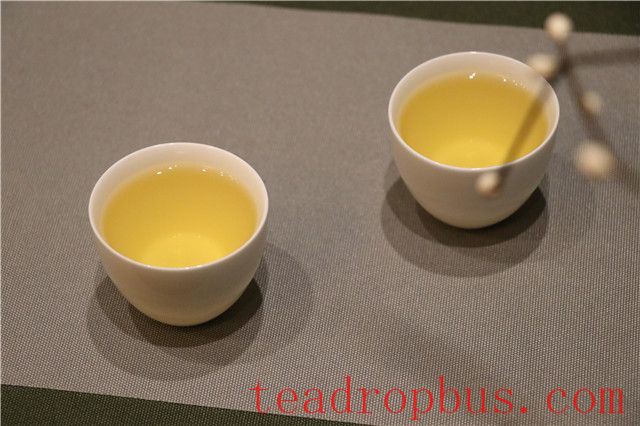 What are the functions and effects of tea polyphenols?-1