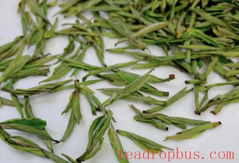 The Benefits and Effects of Tea Water-1