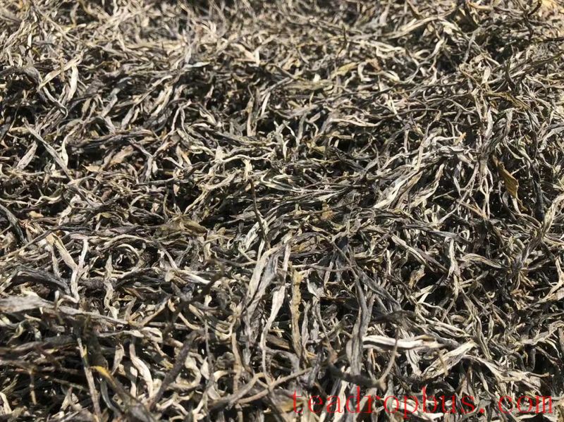 How Experts Choose Raw Pu'er Tea That Ages Well-5