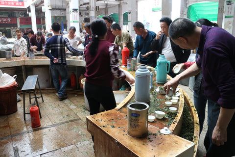 Tieguanyin oolong tea tasting