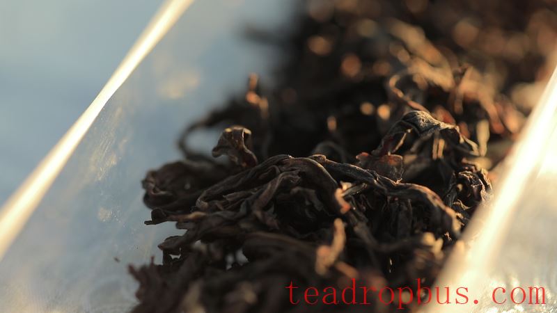 Judging Tea by Its Broth: Tasting Wuyi Rock Tea This Way!-6