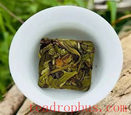 The Only Compressed Oolong Tea — Zhangping Narcissus Tea-2