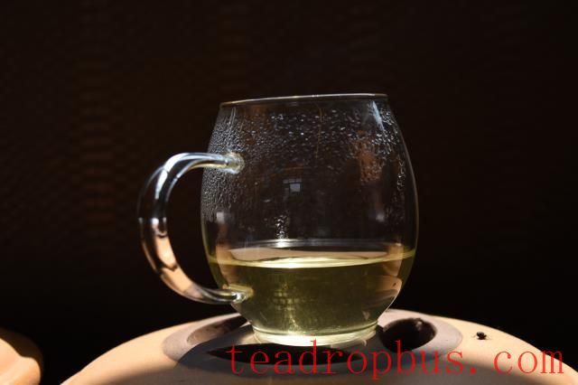 Characteristics of Pu'er Spring Tea-3