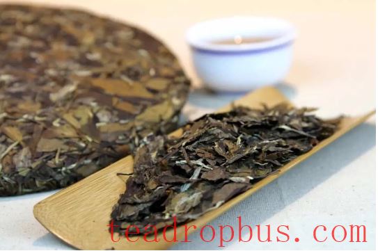 New White Tea vs. Aged White Tea: A Beginner's Journey of Choice-2