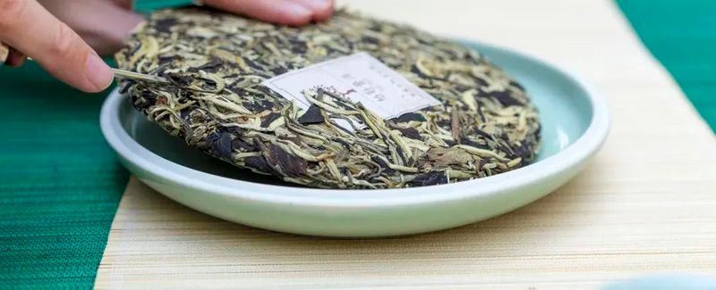 Yunnan White Tea - Simplicity is the Ultimate Sophistication-2
