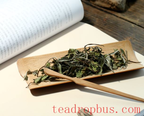 Which is Better in White Tea: Loose Leaf or Cake?-1