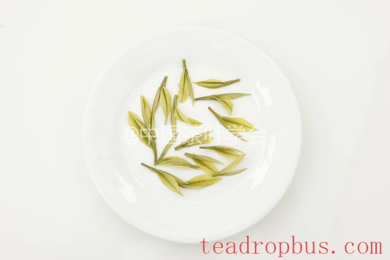 Weekly Tea Knowledge: I Know the Fresh Taste! Let's Talk About the Whitening and Yellowing of Tea Leaves ①-7