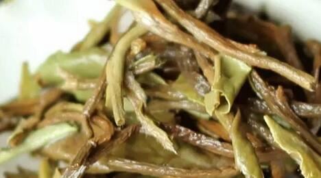 Understanding the White Tea That Becomes a Treasure After Seven Years-7