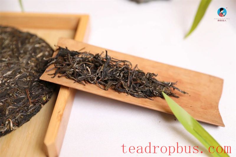 Can you buy genuine ancient trees at a cheaper price by going directly to the tea farmers?-8