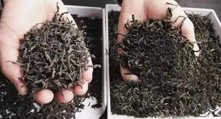 The Difference Between an 8 Yuan Tea and an 80,000 Yuan Tea: What Lies In Between?-4-ChinaTeaGuru: Exploring Chinese Tea Culture and Kung Fu Tea - Tea Art, Tea Ceremony, Tea Knowledge The Difference Between an 8 Yuan Tea and an 80,000 Yuan Tea: What Lies In Between?-4