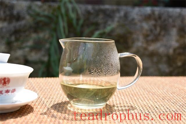 Taste Characteristics of Bingdao Old Village Tea-3