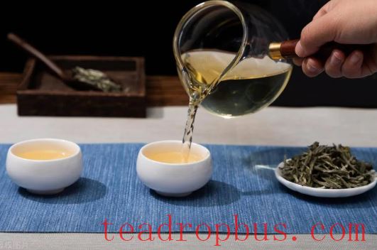 New White Tea vs. Aged White Tea: A Beginner's Journey of Choice-3