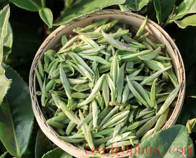 How Many Bud Tips Are in One Pound of Baihao Yinzhen?-4