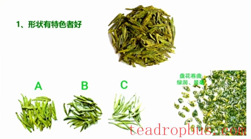 Selecting and Preserving High-Quality Early Spring Green Tea-3