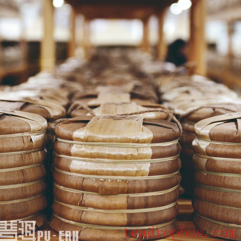 Origin Storage: Bringing More Yunnan Flavor to Pu'er Tea-1