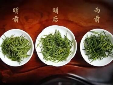 What are the differences between White Tea and Yellow Tea?-10-ChinaTeaGuru: Exploring Chinese Tea Culture and Kung Fu Tea - Tea Art, Tea Ceremony, Tea Knowledge What are the differences between White Tea and Yellow Tea?-10