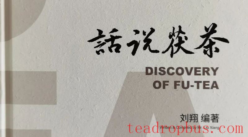 Fu Tea Health and Wellness Interpretation (Part Eighteen): Lightly Fermented Fu Tea, Suitable for Infusing or Boiling-1