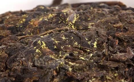 Why Are There So Many Tea Stems in Dark Tea? Here's the Answer-5-ChinaTeaGuru: Exploring Chinese Tea Culture and Kung Fu Tea - Tea Art, Tea Ceremony, Tea Knowledge Why Are There So Many Tea Stems in Dark Tea? Here's the Answer-5