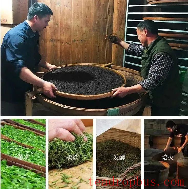 The Duration of Fermentation for Black Tea-3