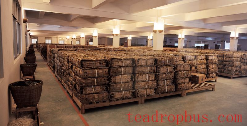 Why Pu'er Tea Needs 