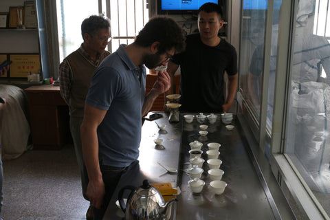 Professional tea tasting