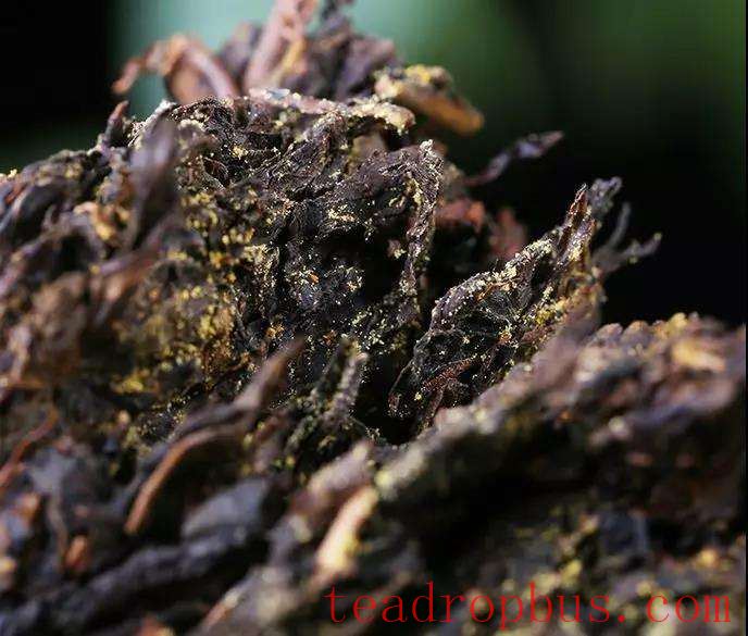 How to Select Good Dark Tea-2