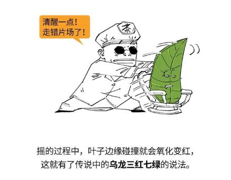 How Can You Buy Tea Without Understanding It? A Beginner's Guide to Identifying Tea-22