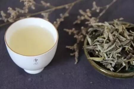 Finally Understand Why They All Love Aged White Tea-2-ChinaTeaGuru: Exploring Chinese Tea Culture and Kung Fu Tea - Tea Art, Tea Ceremony, Tea Knowledge Finally Understand Why They All Love Aged White Tea-2