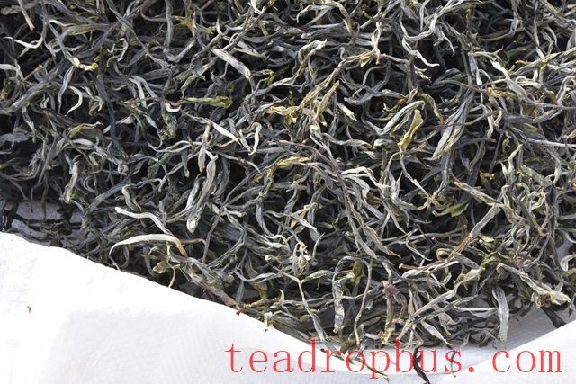 Puer Tea Raw Material Selection Methods-2
