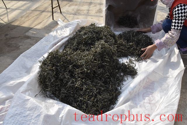 Pu'er Raw Loose Tea Storage and Shelf Life-2