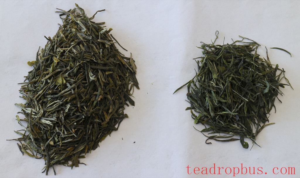 Tè verde