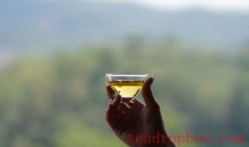 The Five Wonders of Sheng Pu'er Tea-2
