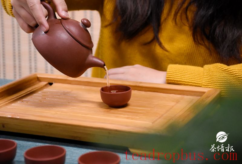 Puer Tea, Your Weight Loss Coach-5
