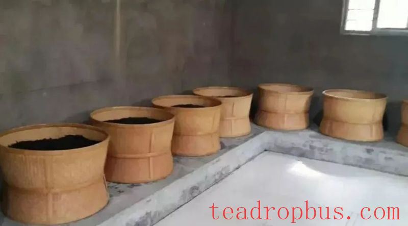 Why is the genuine cassia aroma of Cinnamon (Rougui) becoming increasingly rare?-4