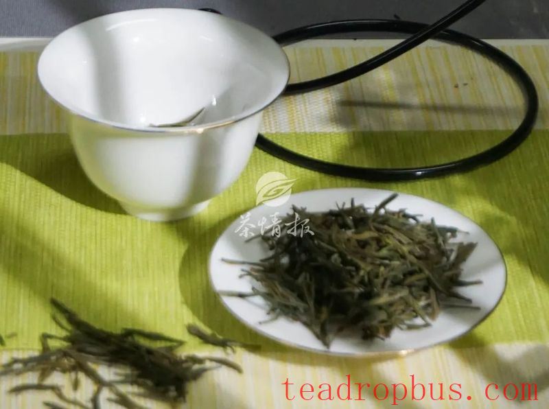 Summer Tea Storage Tips: Don't Overlook These Three Points!-1