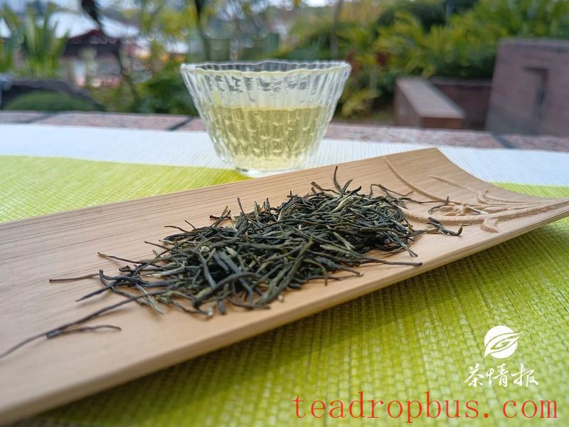 The Wrong Way to Store Green Tea: Trouble is Brewing-3