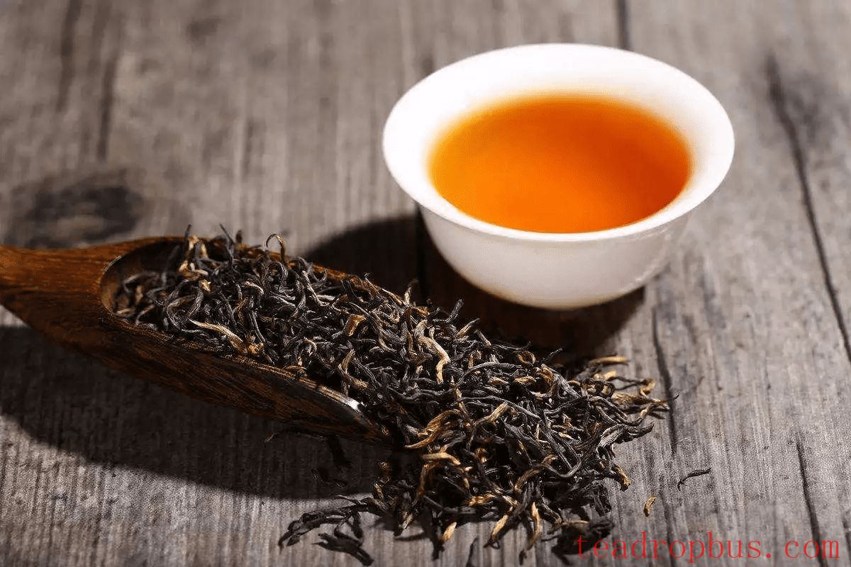 What is Lapsang Souchong? The Ancestor of World Black Teas.-1