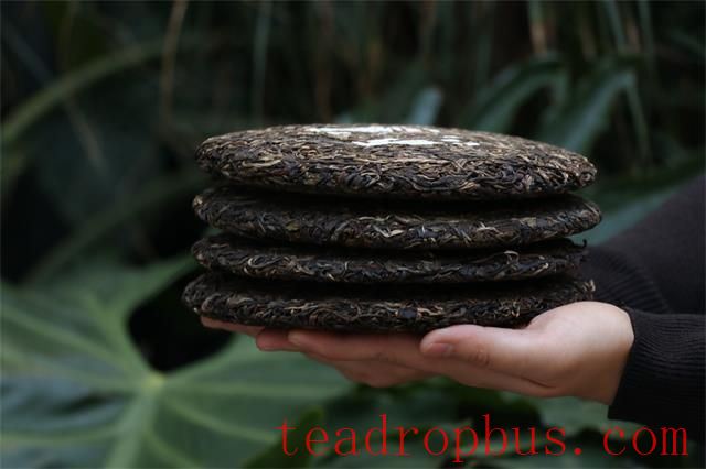How to Determine if Tea Has Molded or Spoiled?-3