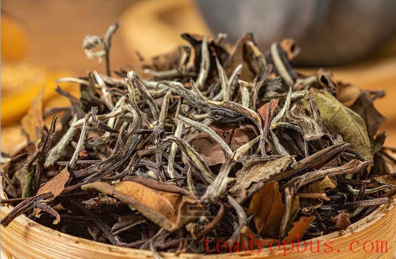 Can Positive Patients Drink Tea?-4