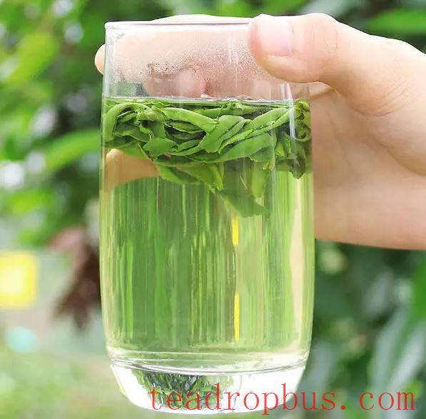 What Makes Good Tea?-3