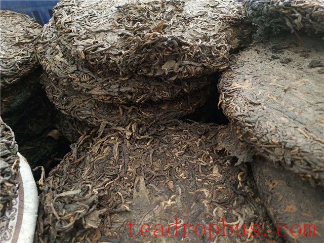 How to Determine if Tea Has Molded or Spoiled?-2
