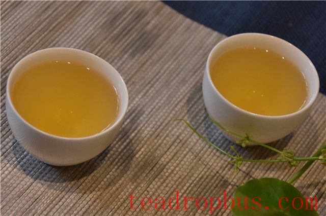 The Four Fundamental Characteristics of Pu'er Tea-1
